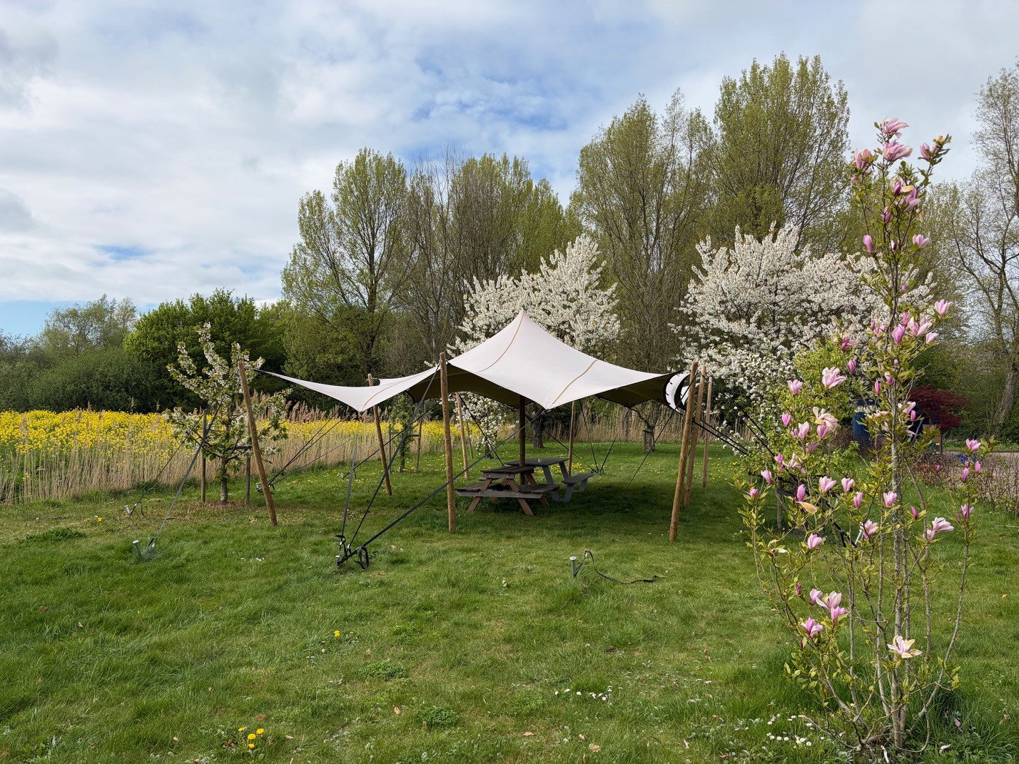 Stretchtent tussen de magnolia's